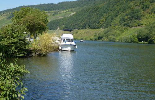 Hausboot Moselrose in Pölich - Foto 11