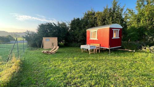 Bauernhof Glamping mit Alpakas und Ziegen - Foto 2, Garden, Garden view