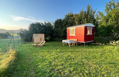 Bauernhof Glamping mit Alpakas und Ziegen - Foto 2