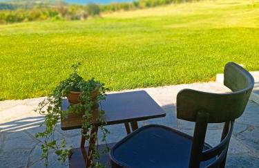 Κτήμα Verde - Foto 60