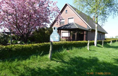 Schmidtfewo Moorgeist - Foto 7