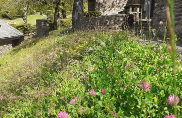 Les Hauts de Saint Privat - Foto 24