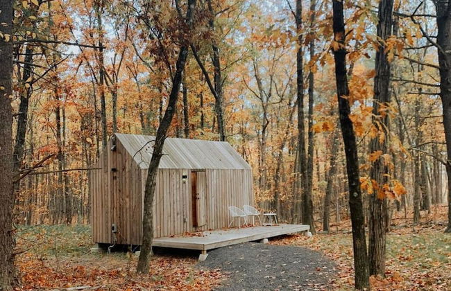 Gather Greene - Foto 21