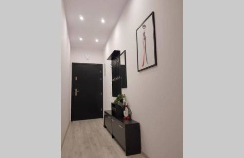 Apartament Nowoczesny Komfortowy Kustronia z Garażem Balkonem Wanną - Foto 12