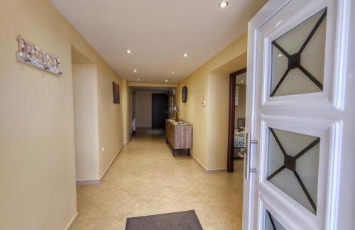 Stellar Blue Palio - Foto 15