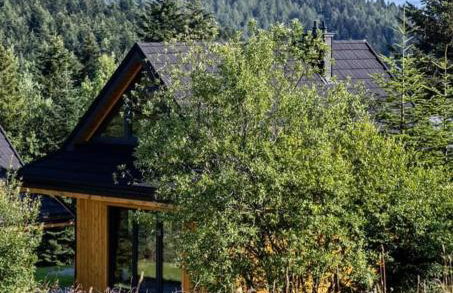 Domki Krynica - Foto 30