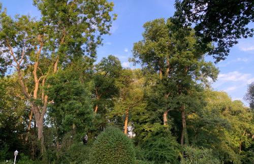 La villa Hortense - Foto 22