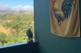 House with Jacuzzi near São Paulo - Photo 44