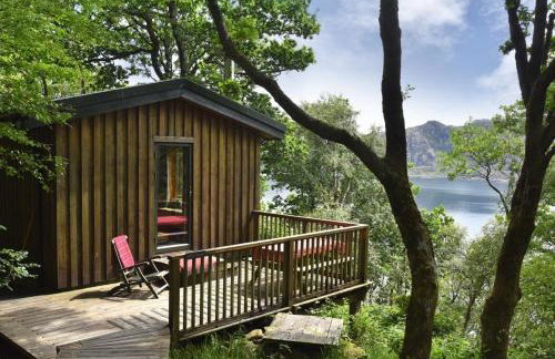 Down House - Photo 1