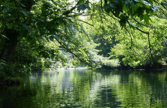 Charming Holiday Villa With Pool - Foto 26