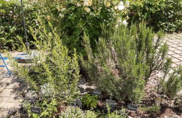 Ferienapartments Ida - Foto 41