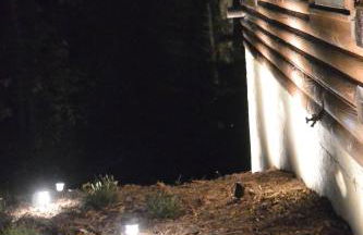 Smokies Overlook Lodge - Foto 79