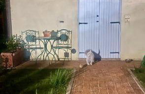 Angolo,di Chianti - Foto 20