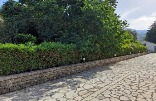 Lemontree Apartments - Foto 70