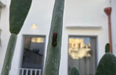 Regina Elena Suites & Private SPA - Foto 80