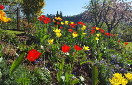 Ferienwohnung Sonneck - Foto 14
