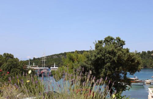 Apartment & Studio Mali Bulo - Photo 24