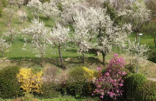 1463 Apartmenthaus - Foto 30