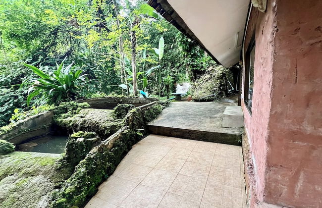 The Cascade - Mae Taeng Waterfall Bungalows - Photo 47