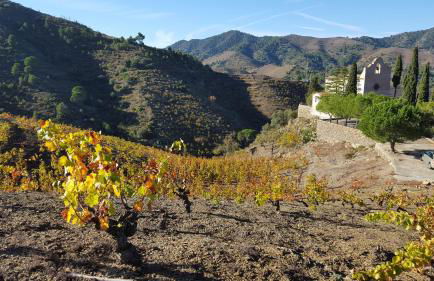 Casa Vella del Pantà de Riudecanyes - Foto 76