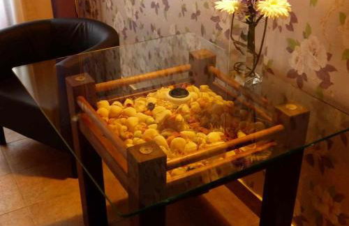 La casa de Don - Foto 13