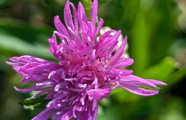 Ferienwohnung Luna mit Pool - Foto 55