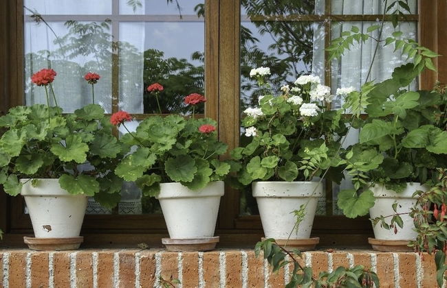 Casa Inés - Foto 33