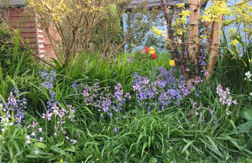 Family-friendly cottage - walk to stunning beach - Foto 32