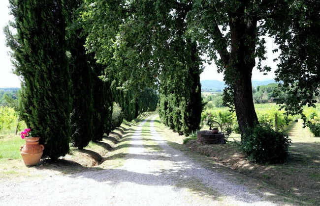 Verdidea - La Villa - Foto 69