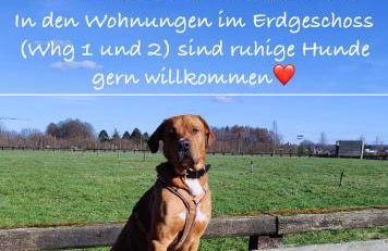 Wohnen Unter Reet - Foto 13