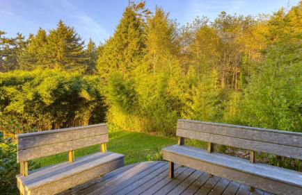 Stunning Ocean Views Steps to Beach • Tranquil Retreat Cove Keep by AvantStay - Foto 43