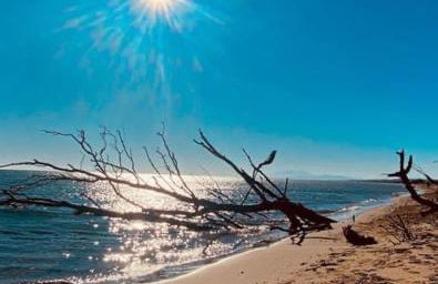 Vue imprenable sur mer- La perle de Saint Pierre La Mer - Foto 43