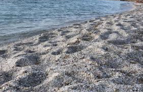 Sardinia Costa Ovest - Foto 44