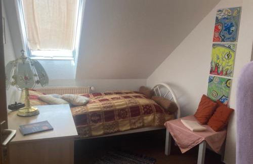 Alter Rhin - Foto 11