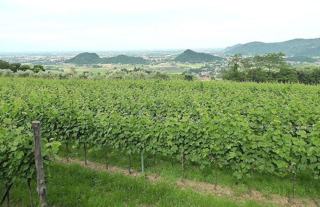 Casa Delle Eriche, Colli Euganei, Pool, Wifi - Foto 38