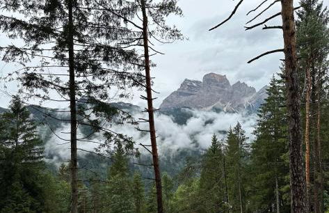 Ca'Mugo, a chalet in the magic woods, near Cortina - Foto 73