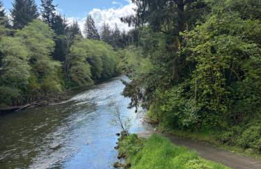 A Relaxing Getaway SolDuc 1 - Foto 3