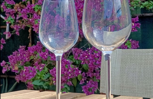 Delle Erbe The Nightlife - Foto 25