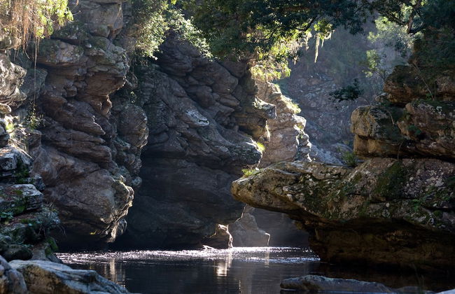 Forest Edge - Foto 72