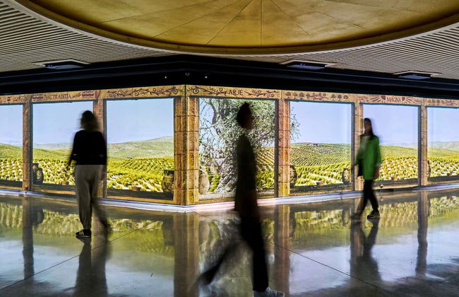 Visita al frantoio Oleícola Jaén con degustazione di olio - Foto 10