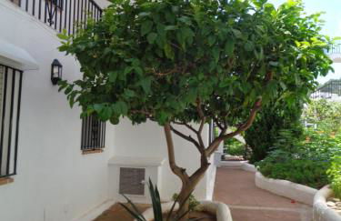 APARTAMENTO HECO - Foto 31