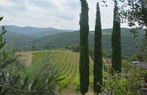 Celle di Lecchi Fienile - Foto 73