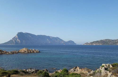 Acquazzurra a Punta Molara - Foto 27