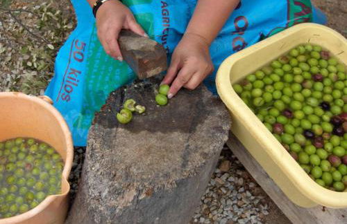 Apartamento Do Silva - Foto 36