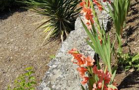 Holiday Home Subasic - Photo 9