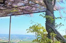 Casa vacanza il colle del vento - Foto 22