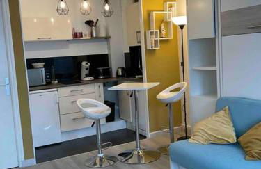 Studio-Champagne Lanson-Proche Hôpitaux-Universités-Parc Léo Lagrange - Foto 14