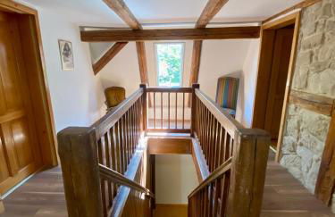 Kap der guten Hopfung - Foto 22