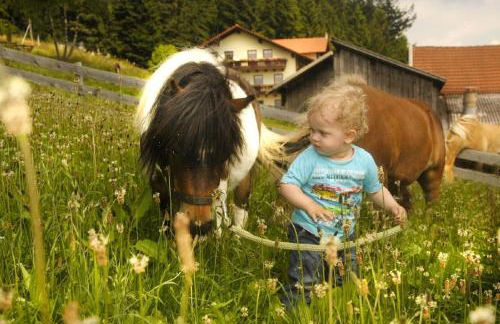 Freizeit- und Erlebnishof Schötz - Foto 7