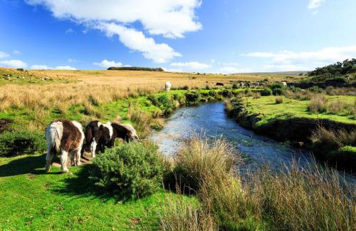 2 Bed in Sticklepath oc-l33312 - Photo 25